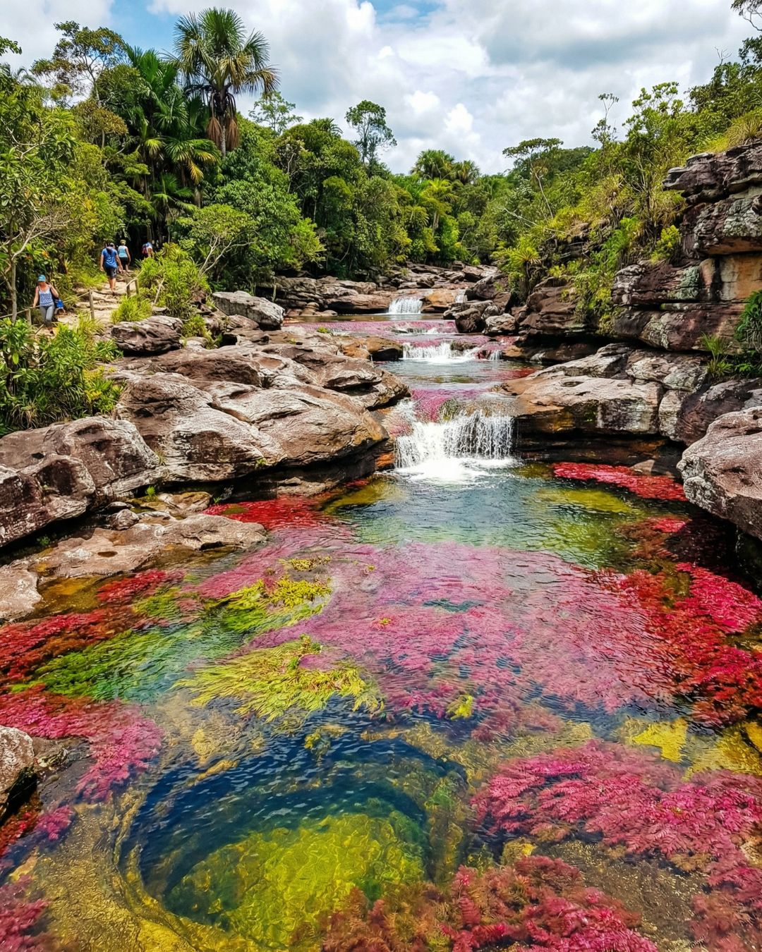 Caño Cristales
